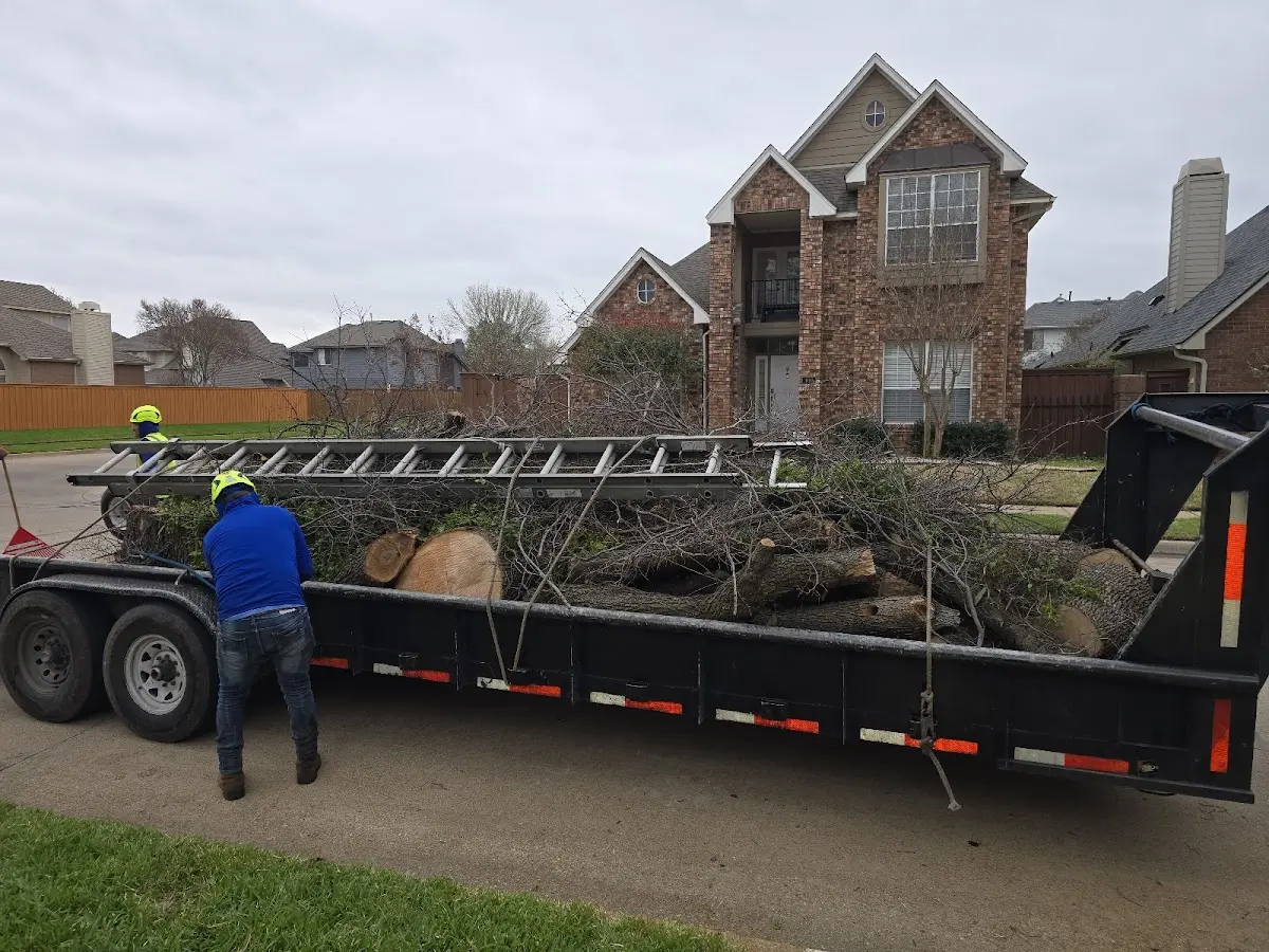 Expert Tree Fertilization with proper safety equipment in Bismarck